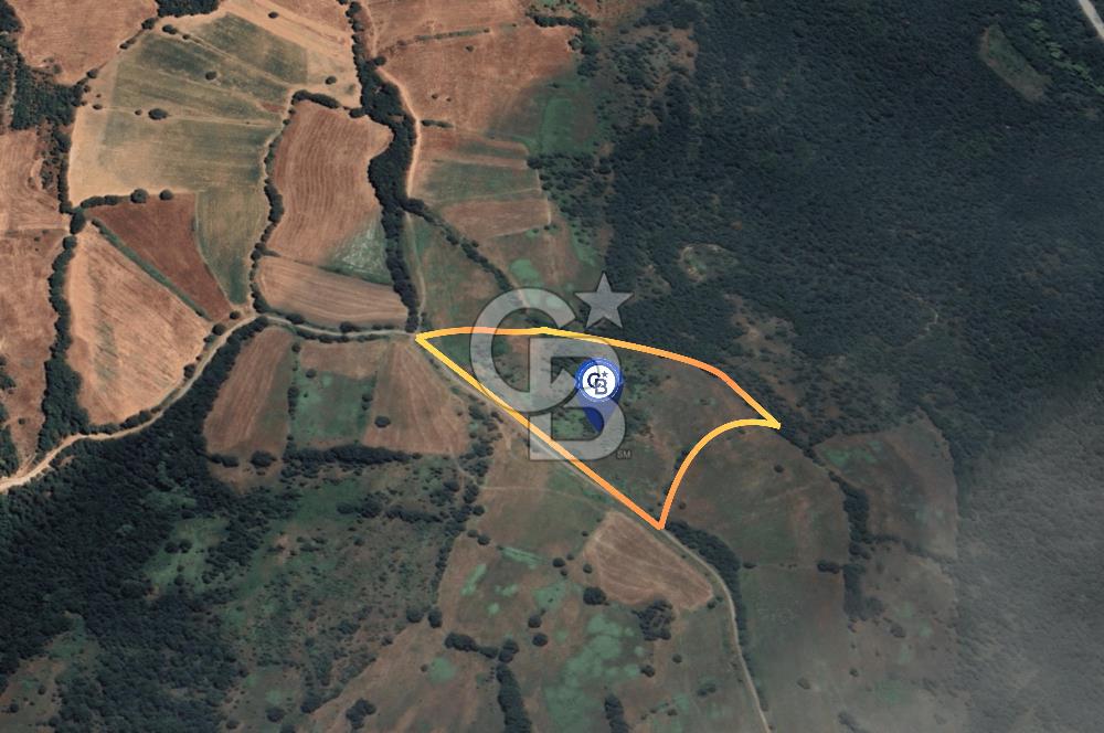 ÇANAKKALE BARDAKÇILAR KÖYÜNDE YATIRIMA UYGUN 27000 m2 TARLA