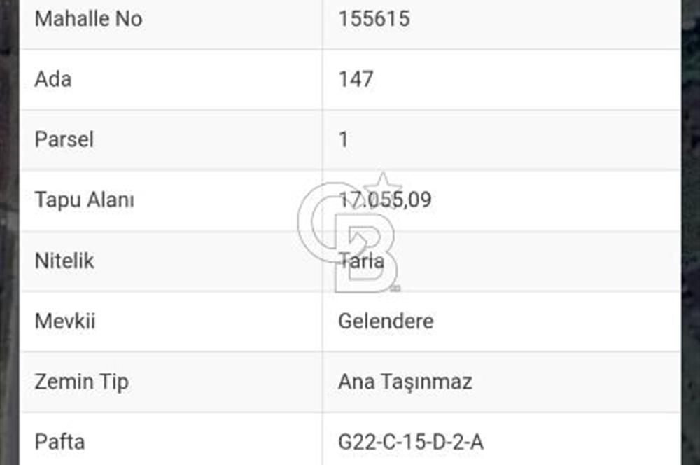  1321236741 YALOVA ÇİFTLİKKÖY İYASKÖYDE ASFALT YOLA CEPHELİ SATILIK TARLA 