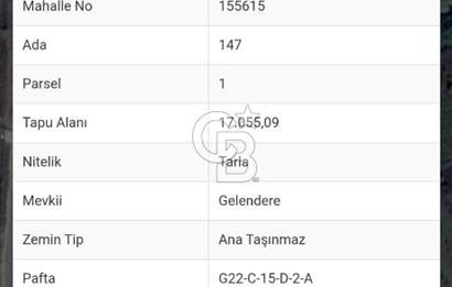  1321236741 YALOVA ÇİFTLİKKÖY İYASKÖYDE ASFALT YOLA CEPHELİ SATILIK TARLA 
