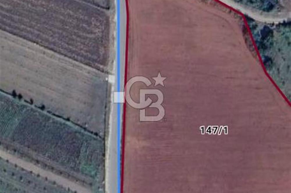  1321236741 YALOVA ÇİFTLİKKÖY İYASKÖYDE ASFALT YOLA CEPHELİ SATILIK TARLA 