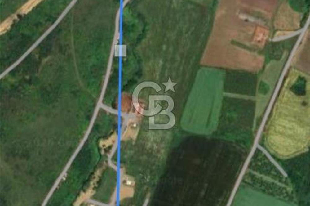 YALOVA ÇİFTLİKKÖY KILIÇ MAH.SATILIK ARSA