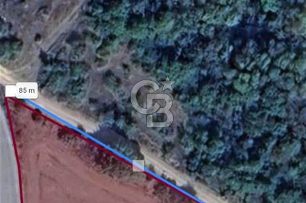  1321236741 YALOVA ÇİFTLİKKÖY İYASKÖYDE ASFALT YOLA CEPHELİ SATILIK TARLA 