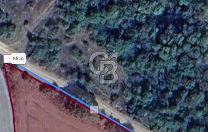  1321236741 YALOVA ÇİFTLİKKÖY İYASKÖYDE ASFALT YOLA CEPHELİ SATILIK TARLA 