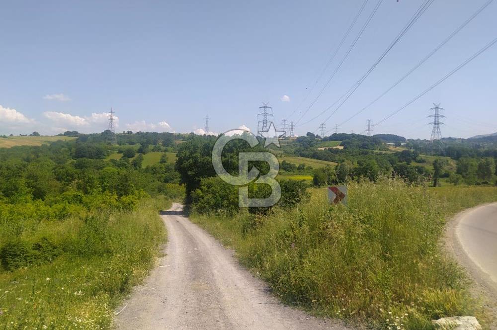  1321236741 YALOVA ÇİFTLİKKÖY İYASKÖYDE ASFALT YOLA CEPHELİ SATILIK TARLA 