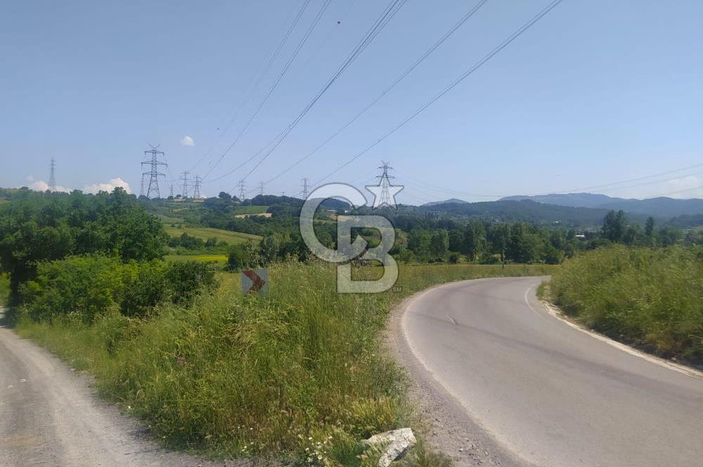 1321236741 YALOVA ÇİFTLİKKÖY İYASKÖYDE ASFALT YOLA CEPHELİ SATILIK TARLA 