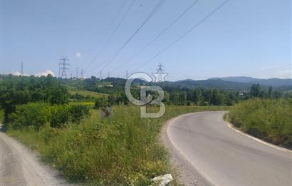  1321236741 YALOVA ÇİFTLİKKÖY İYASKÖYDE ASFALT YOLA CEPHELİ SATILIK TARLA 