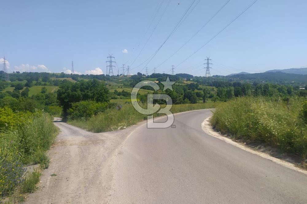  1321236741 YALOVA ÇİFTLİKKÖY İYASKÖYDE ASFALT YOLA CEPHELİ SATILIK TARLA 