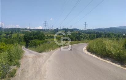  1321236741 YALOVA ÇİFTLİKKÖY İYASKÖYDE ASFALT YOLA CEPHELİ SATILIK TARLA 