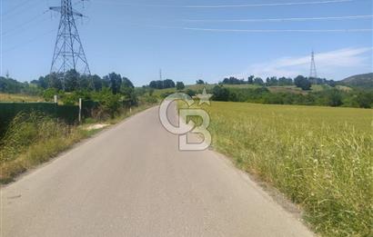 1321236741 YALOVA ÇİFTLİKKÖY İYASKÖYDE ASFALT YOLA CEPHELİ SATILIK TARLA 
