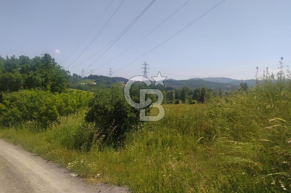  1321236741 YALOVA ÇİFTLİKKÖY İYASKÖYDE ASFALT YOLA CEPHELİ SATILIK TARLA 
