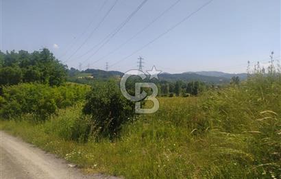 1321236741 YALOVA ÇİFTLİKKÖY İYASKÖYDE ASFALT YOLA CEPHELİ SATILIK TARLA 