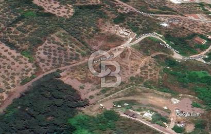GEMLİK KURTUL’DA ELEKTRİK VE SUYU HAZIR, YOLA CEPHELİ 5.189 m² TARLA