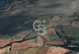 ÇANAKKALE BARDAKÇILAR KÖYÜNDE YATIRIMA UYGUN 27000 m2 TARLA - 1 - 353423
