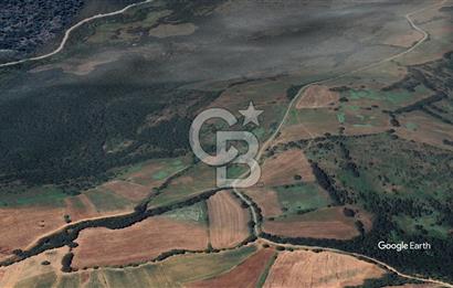 ÇANAKKALE BARDAKÇILAR KÖYÜNDE YATIRIMA UYGUN 27000 m2 TARLA