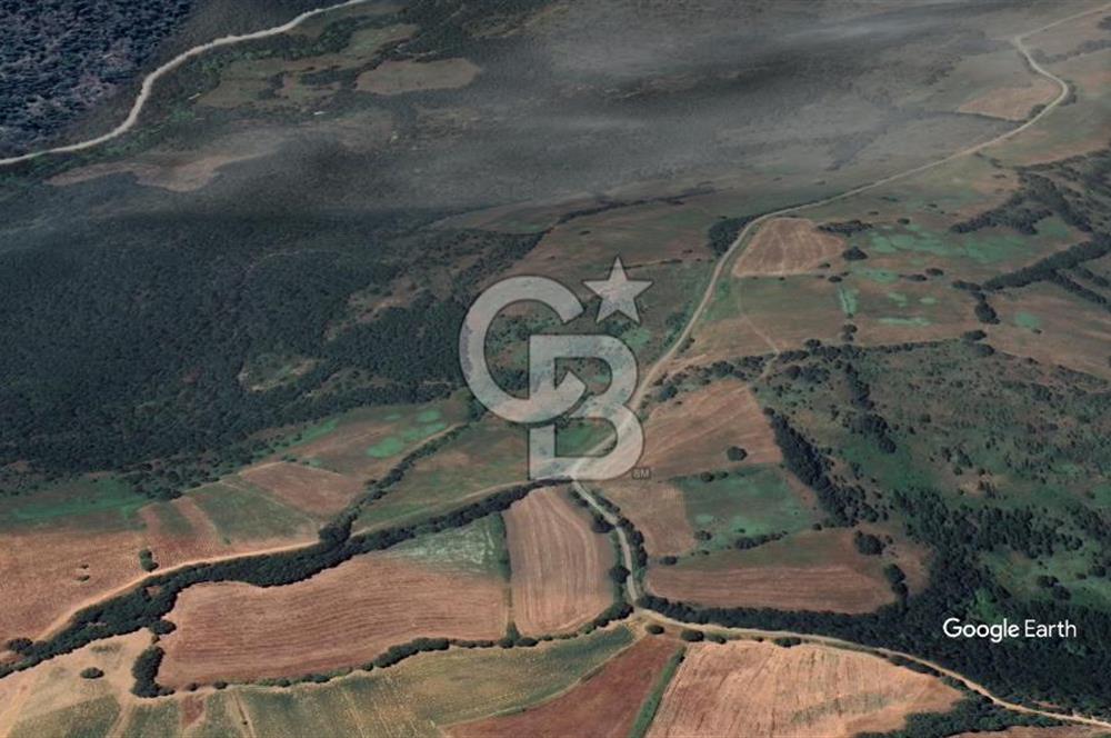 ÇANAKKALE BARDAKÇILAR KÖYÜNDE YATIRIMA UYGUN 27000 m2 TARLA