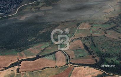 ÇANAKKALE BARDAKÇILAR KÖYÜNDE YATIRIMA UYGUN 27000 m2 TARLA