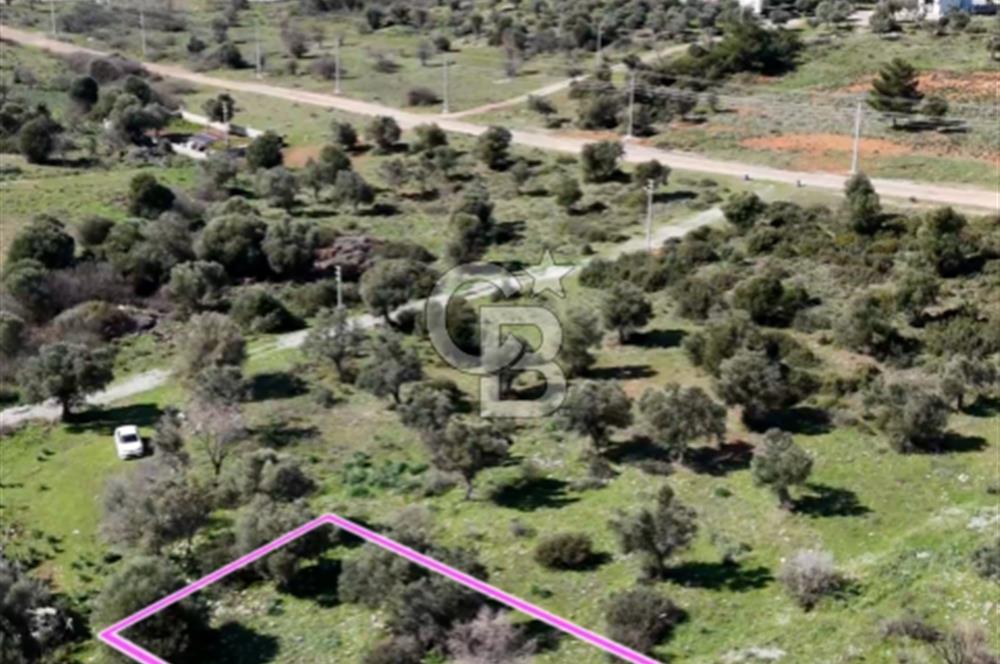Zümrüttepede Satılık Villa arsası 400 m2 - 20/40 imarlı