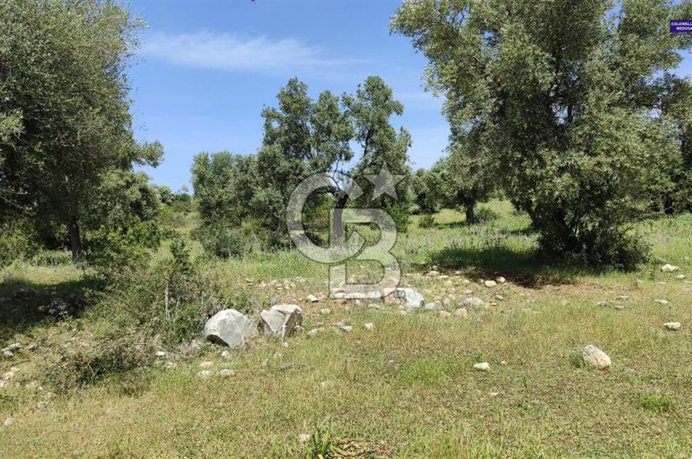 Zümrüttepede Satılık Villa arsası 400 m2 - 20/40 imarlı
