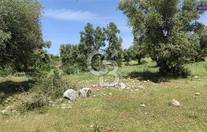 Zümrüttepede Satılık Villa arsası 400 m2 - 20/40 imarlı