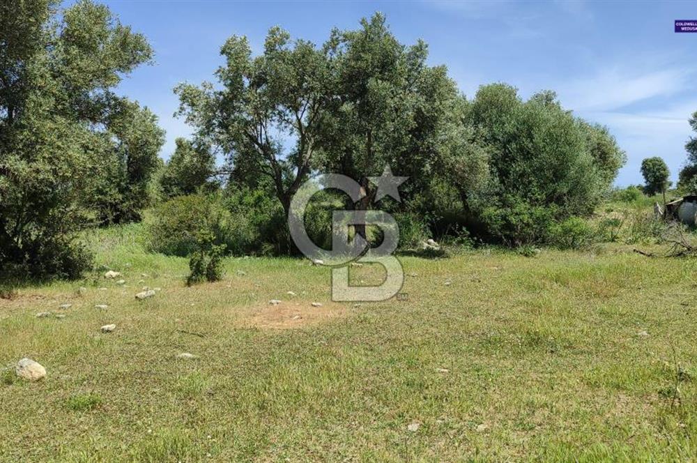 Zümrüttepede Satılık Villa arsası 400 m2 - 20/40 imarlı