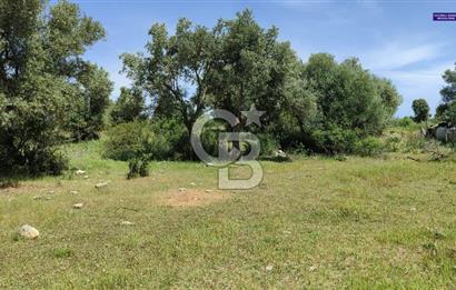 Zümrüttepede Satılık Villa arsası 400 m2 - 20/40 imarlı