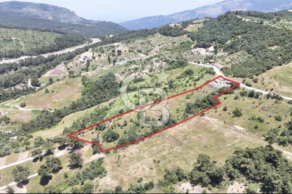 BORNOVA BEŞYOL DA 8440 M2 TARLA İÇERİSİNDE ASFALT YOLA CEPHELİ SATILIK MÜSTAKİL EV VE ARSASI