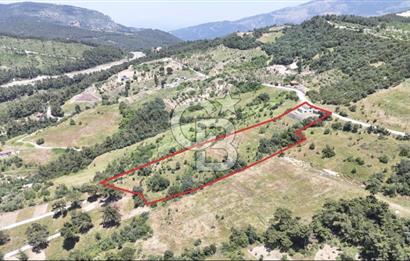 BORNOVA BEŞYOL DA 8440 M2 TARLA İÇERİSİNDE ASFALT YOLA CEPHELİ SATILIK MÜSTAKİL EV VE ARSASI