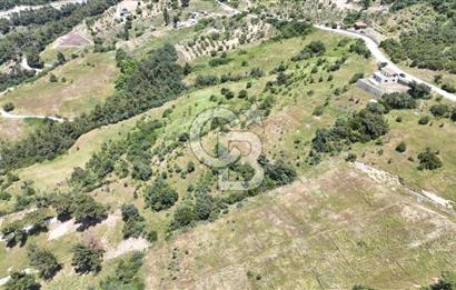 BORNOVA BEŞYOL DA 8440 M2 TARLA İÇERİSİNDE ASFALT YOLA CEPHELİ SATILIK MÜSTAKİL EV VE ARSASI