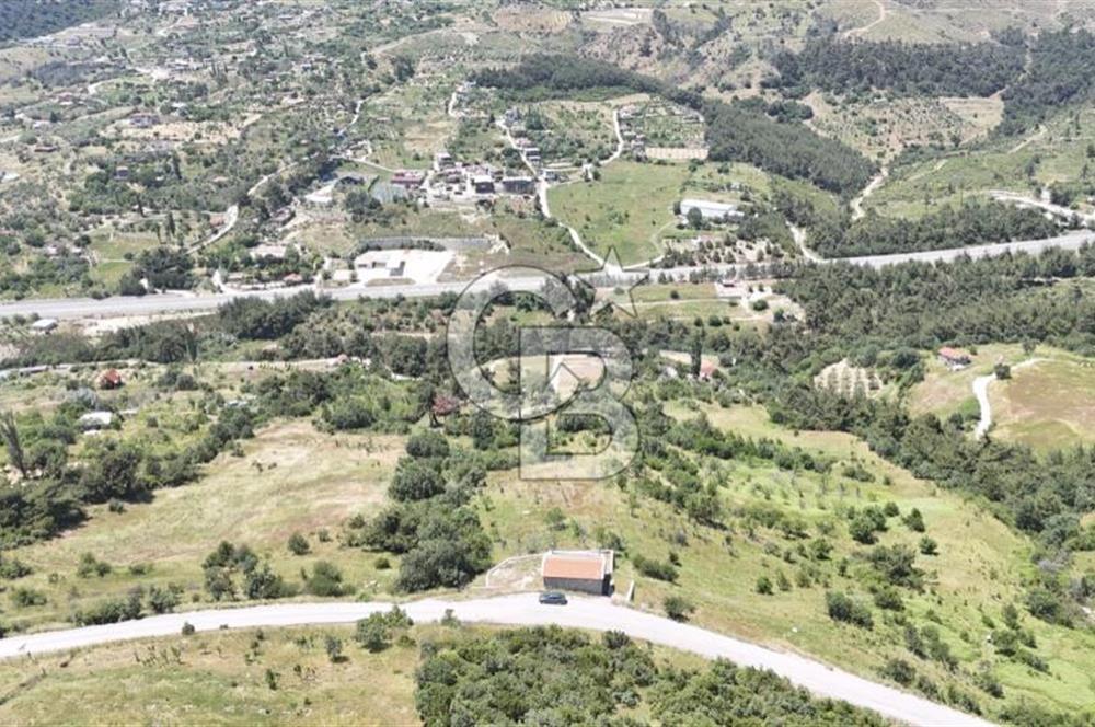 BORNOVA BEŞYOL DA 8440 M2 TARLA İÇERİSİNDE ASFALT YOLA CEPHELİ SATILIK MÜSTAKİL EV VE ARSASI