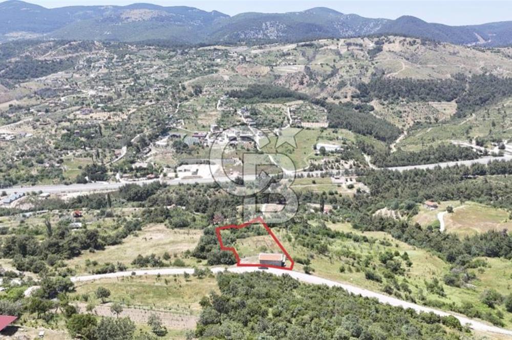 BORNOVA BEŞYOL DA 8440 M2 TARLA İÇERİSİNDE ASFALT YOLA CEPHELİ SATILIK MÜSTAKİL EV VE ARSASI