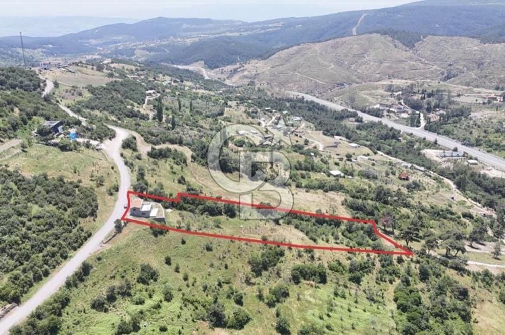 BORNOVA BEŞYOL DA 8440 M2 TARLA İÇERİSİNDE ASFALT YOLA CEPHELİ SATILIK MÜSTAKİL EV VE ARSASI