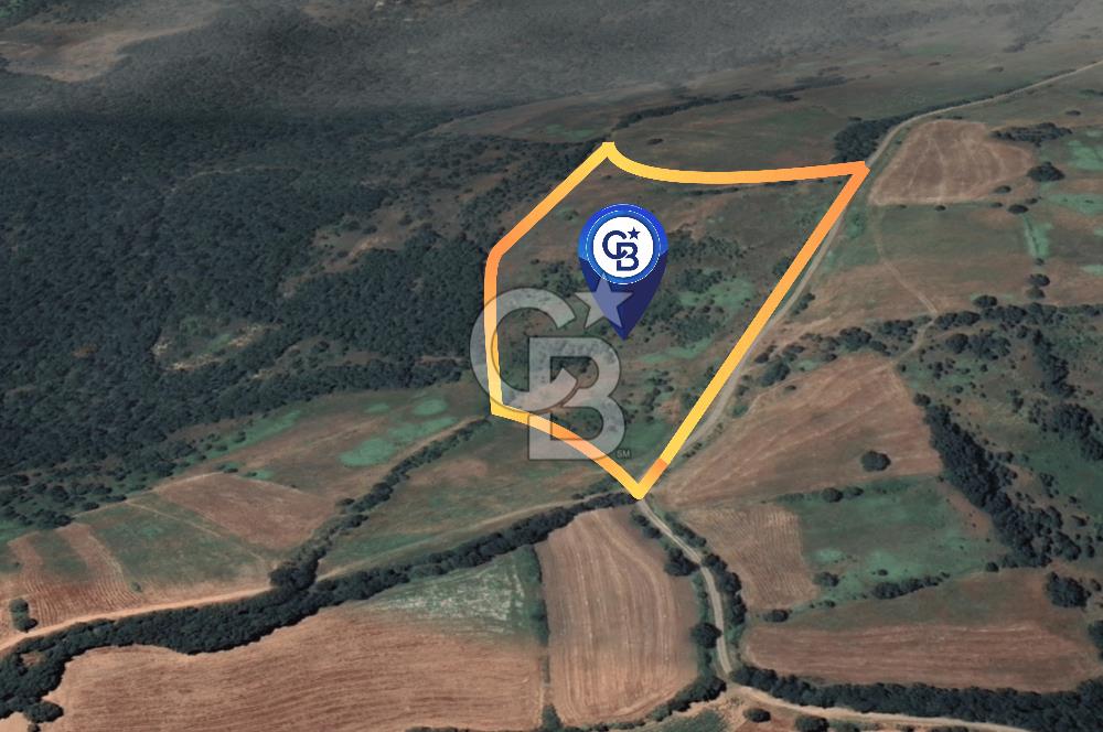 ÇANAKKALE BARDAKÇILAR KÖYÜNDE YATIRIMA UYGUN 27000 m2 TARLA