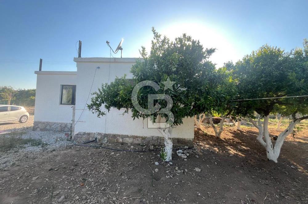  BODRUM DEREKÖY'DE TEK KATLI MÜSTAKİL 2+1 KİRALIK DAİRE