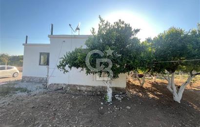  BODRUM DEREKÖY'DE TEK KATLI MÜSTAKİL 2+1 KİRALIK DAİRE