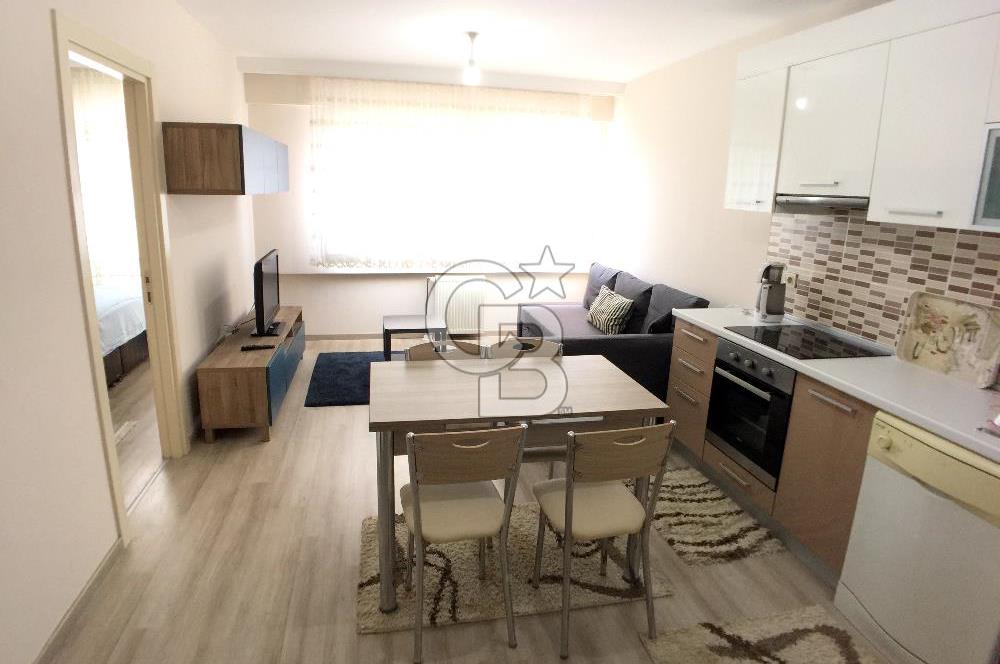 Kurtköy Yenişehir Dumankaya Cadde Yatırımlık Eşyalı Kaçmaz 1+1