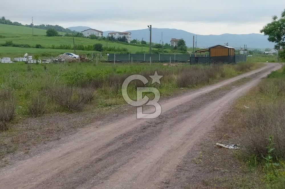 YALOVA ÇİFTLİKKÖY KILIÇ MAH.SATILIK ARSA