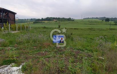 YALOVA ÇİFTLİKKÖY KILIÇ MAH.SATILIK ARSA