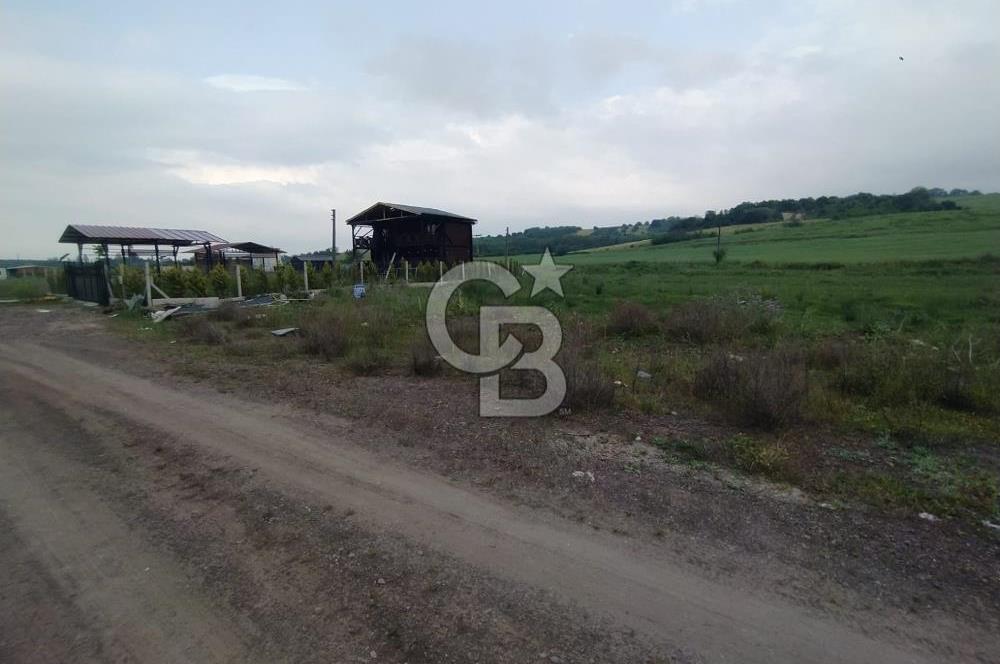 YALOVA ÇİFTLİKKÖY KILIÇ MAH.SATILIK ARSA