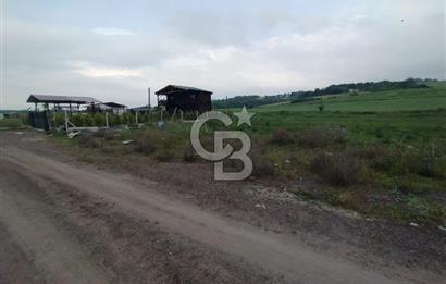 YALOVA ÇİFTLİKKÖY KILIÇ MAH.SATILIK ARSA