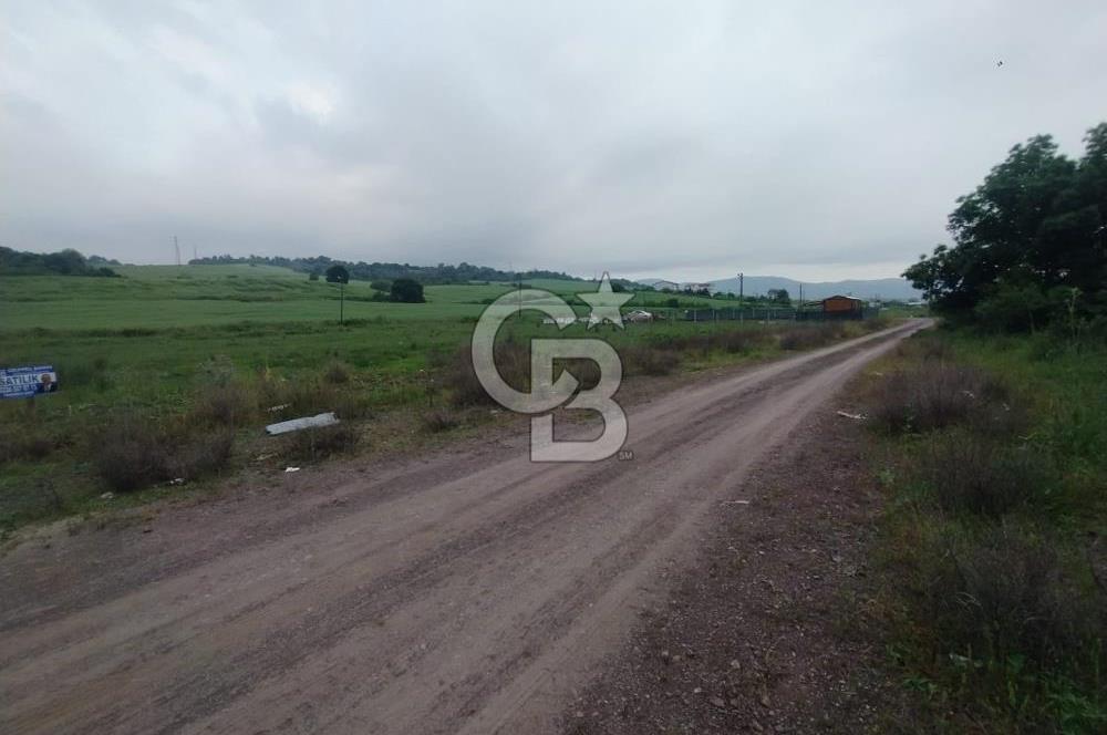 YALOVA ÇİFTLİKKÖY KILIÇ MAH.SATILIK ARSA