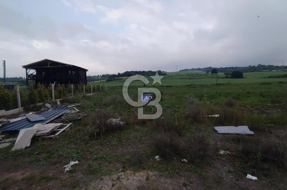YALOVA ÇİFTLİKKÖY KILIÇ MAH.SATILIK ARSA