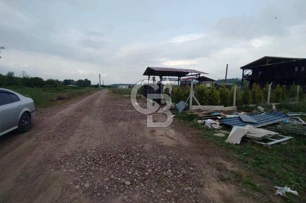 YALOVA ÇİFTLİKKÖY KILIÇ MAH.SATILIK ARSA
