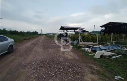 YALOVA ÇİFTLİKKÖY KILIÇ MAH.SATILIK ARSA