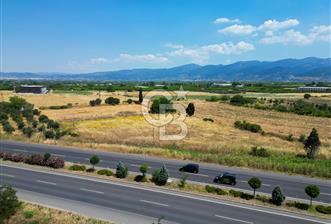 Ankara asfaltına 88m cepheli bağ - 8 - 353455