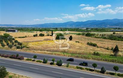 Ankara asfaltına 88m cepheli bağ