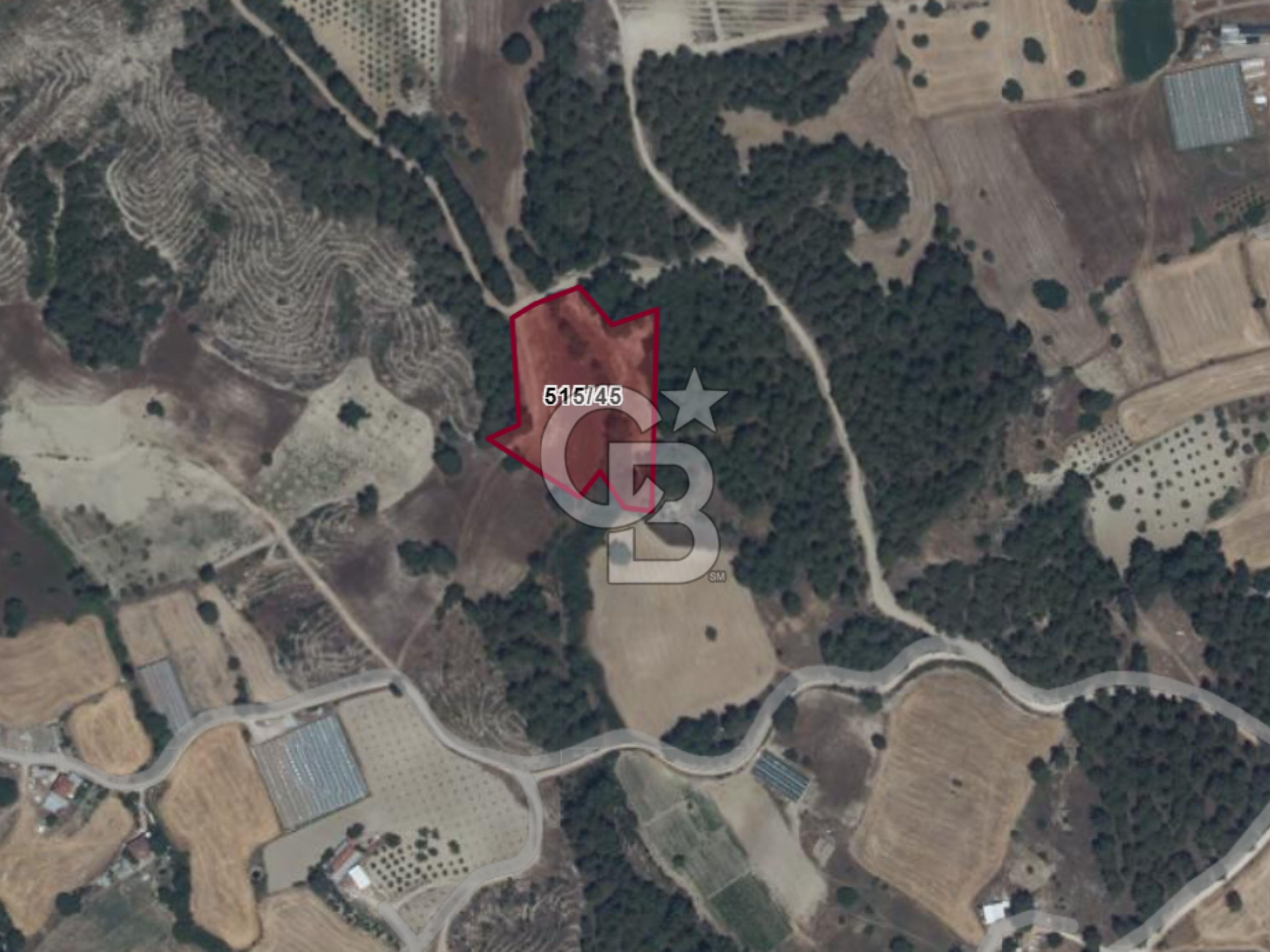 BUCAK ÇAMLIK'TA 7.693 M² MÜSTAKİL TAPULU YATIRIMLIK TARLA