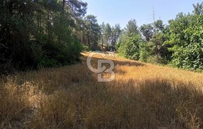 BUCAK ÇAMLIK'TA 7.693 M² MÜSTAKİL TAPULU YATIRIMLIK TARLA