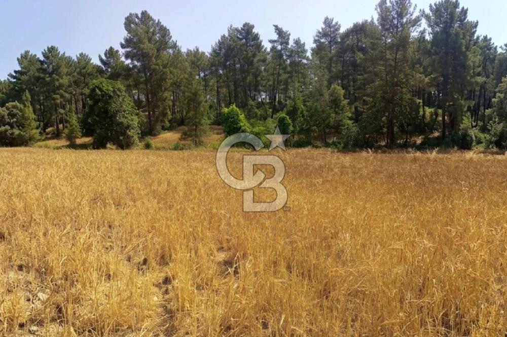 BUCAK ÇAMLIK'TA 7.693 M² MÜSTAKİL TAPULU YATIRIMLIK TARLA