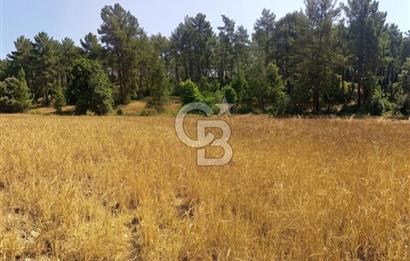 BUCAK ÇAMLIK'TA 7.693 M² MÜSTAKİL TAPULU YATIRIMLIK TARLA