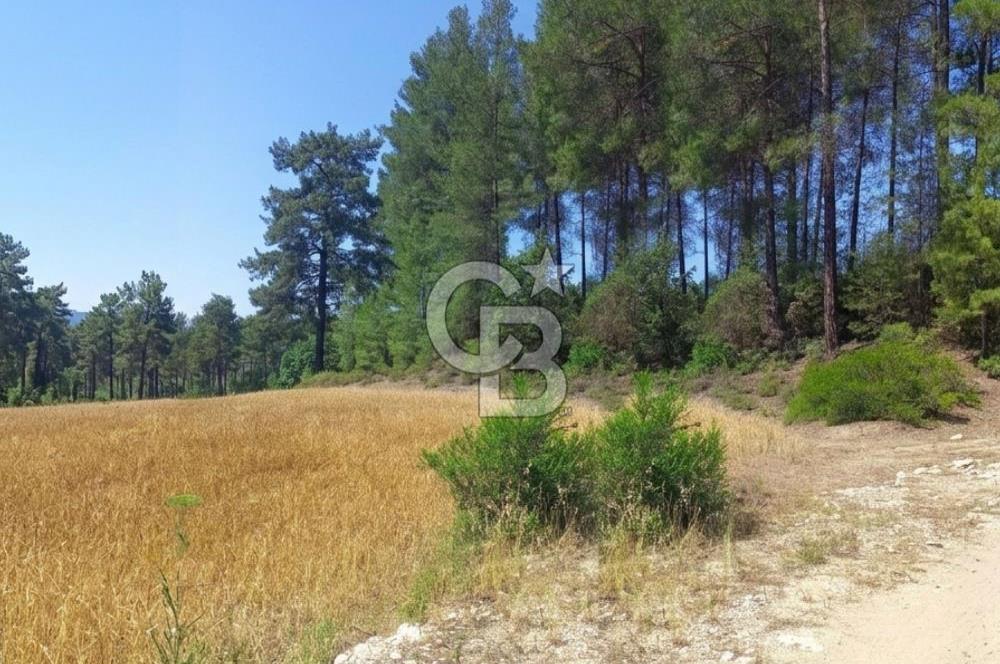 BUCAK ÇAMLIK'TA 7.693 M² MÜSTAKİL TAPULU YATIRIMLIK TARLA